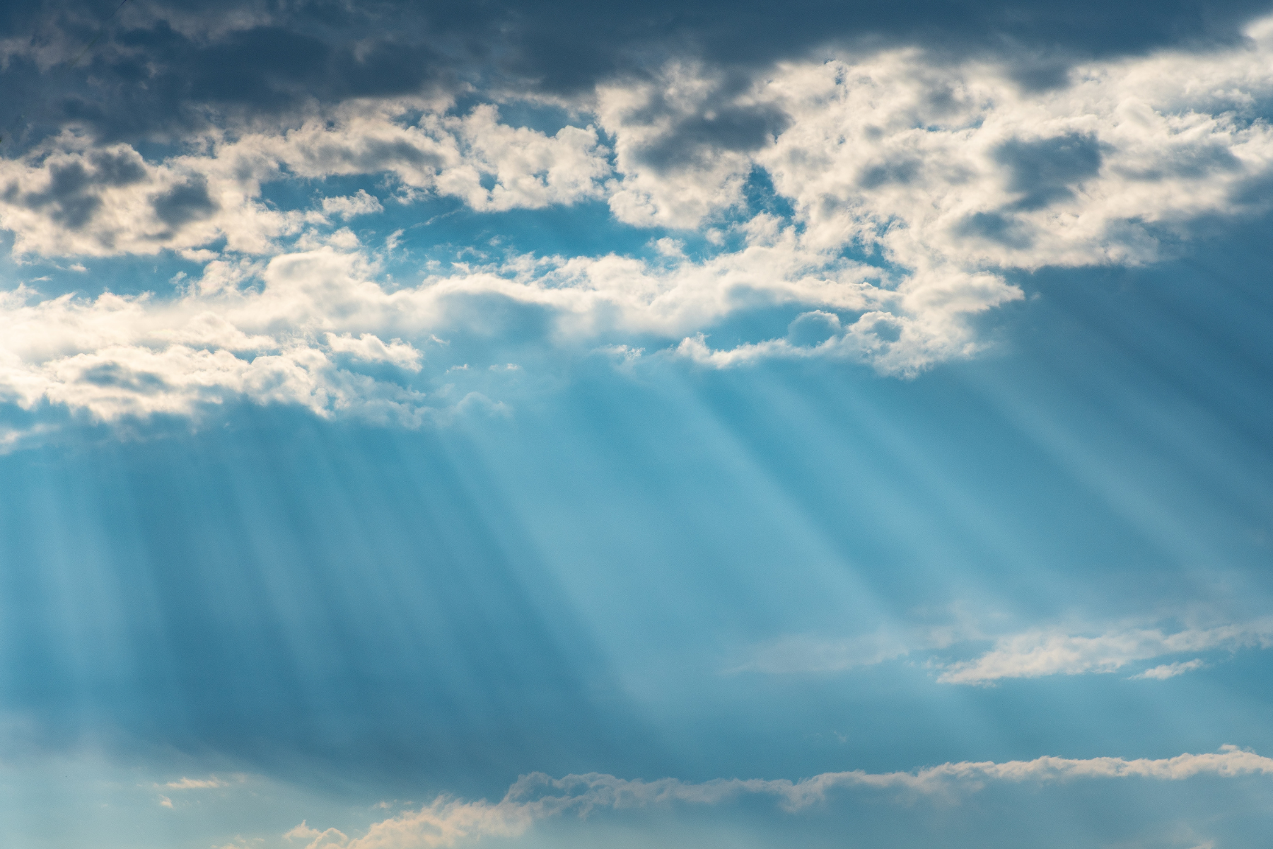 CHURCH OF THE LIVING GOD: The Emerging Future Church